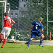 Fotograf_-_Robert_Scheidl_(31_von_102).jpg