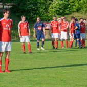 Fotograf_-_Robert_Scheidl_(93_von_102).jpg