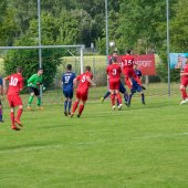 Fotograf_-_Robert_Scheidl-0160_2.jpg