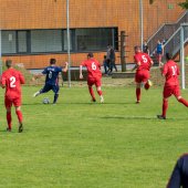 Fotograf_-_Robert_Scheidl-0169.jpg