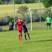 Fotograf_-_Robert_Scheidl-0212_2.jpg
