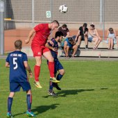 Fotograf_-_Robert_Scheidl-0213_2.jpg