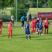 Fotograf_-_Robert_Scheidl-0233.jpg