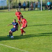 Fotograf_-_Robert_Scheidl-0235.jpg