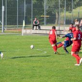 Fotograf_-_Robert_Scheidl-0246.jpg