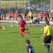 Fotograf_-_Robert_Scheidl-0253.jpg