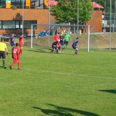 Fotograf_-_Robert_Scheidl-0263.jpg