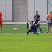 Fotograf_-_Robert_Scheidl-71_7.jpg
