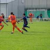 Fotograf_-_Robert_Scheidl-88_7.jpg