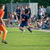 Fotograf_-_Robert_Scheidl-208_3.jpg