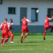 Fotograf_-_Robert_Scheidl-40_9.jpg
