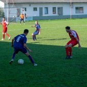 Fotograf_-_Robert_Scheidl-97_8.jpg