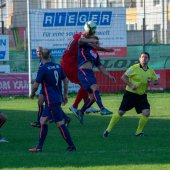 Fotograf_-_Robert_Scheidl-196_5.jpg