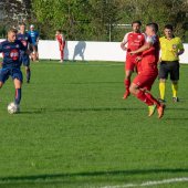Fotograf_-_Robert_Scheidl-225_3.jpg