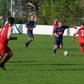 Fotograf_-_Robert_Scheidl-228_2.jpg