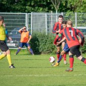 Fotograf_-_Robert_Scheidl-91_11.jpg