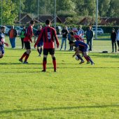 Fotograf_-_Robert_Scheidl-144_8.jpg
