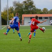 Fotograf_-_Robert_Scheidl-11_17.jpg