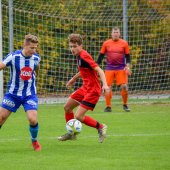 Fotograf_-_Robert_Scheidl-16_17.jpg