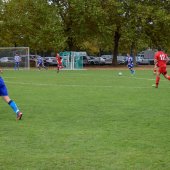 Fotograf_-_Robert_Scheidl-94_17.jpg