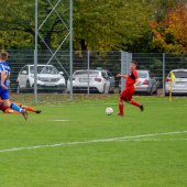 Fotograf_-_Robert_Scheidl-116_16.jpg