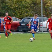 Fotograf_-_Robert_Scheidl-146_13.jpg