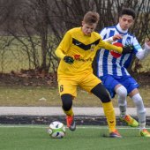 Fotograf_-_Robert_Scheidl-_(63).jpg
