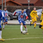 Fotograf_-_Robert_Scheidl-_(120).jpg