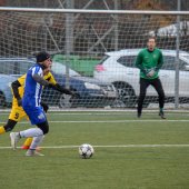 Fotograf_-_Robert_Scheidl-_(139).jpg