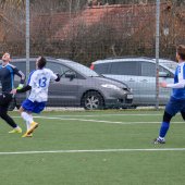 Fotograf_-_Robert_Scheidl-36_25.jpg