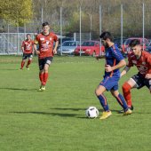 Fotograf_-_Robert_Scheidl-7_32.jpg