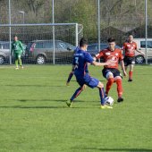 Fotograf_-_Robert_Scheidl-10_32.jpg