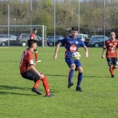 Fotograf_-_Robert_Scheidl-109_31.jpg