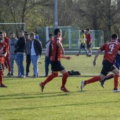 Fotograf_-_Robert_Scheidl-206_14.jpg