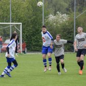 Fotograf_-_Robert_Scheidl-35_34.jpg