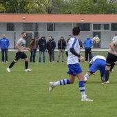 Fotograf_-_Robert_Scheidl-65_34.jpg