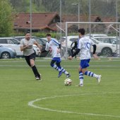 Fotograf_-_Robert_Scheidl-104_33.jpg