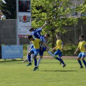 Fotograf_-_Robert_Scheidl-100_35.jpg