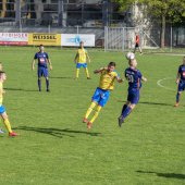 Fotograf_-_Robert_Scheidl-38_37.jpg