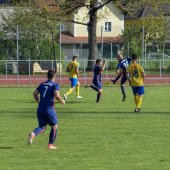 Fotograf_-_Robert_Scheidl-59_37.jpg