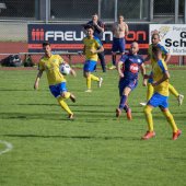 Fotograf_-_Robert_Scheidl-75_37.jpg
