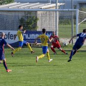 Fotograf_-_Robert_Scheidl-115_35.jpg
