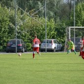 Fotograf_-_Robert_Scheidl-143_29.jpg