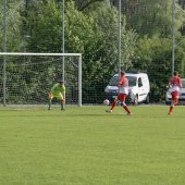Fotograf_-_Robert_Scheidl-147_28.jpg