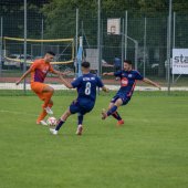 Fotograf_-_Robert_Scheidl-8_52.jpg