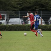 IMG_6421.jpg