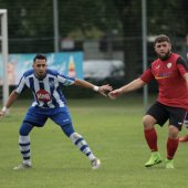 IMG_6484.jpg