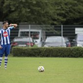 IMG_6523.jpg