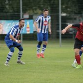 IMG_6549.jpg