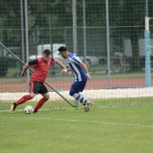 IMG_6576_2.jpg